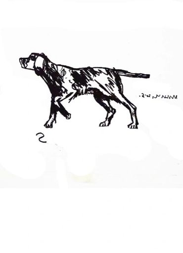 pointer ink mono print the shaw