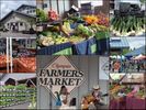 Olympia Farmers Market