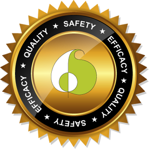 Logo of Sharangdhar Ayurveda signifying Quality, Safety & Efficacy of Good Ayurvedic clinic in vasai