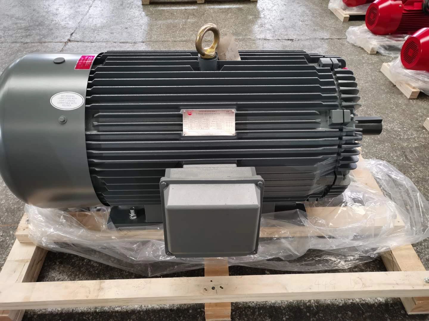 850KW Premium Efficiency 3 Phase Induction Motor ,6600V Premium Efficiency 3 Phase Induction Motor,3