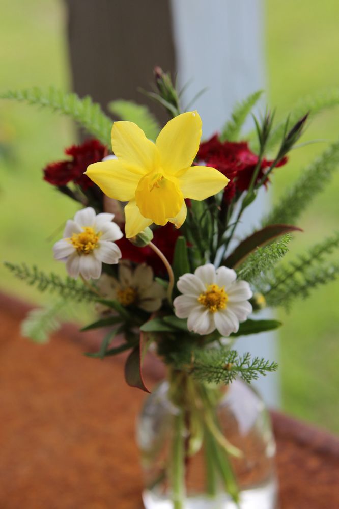Bud vase with daffodil dianthus yarrow daisy farm fresh local flowers grown in Texas
