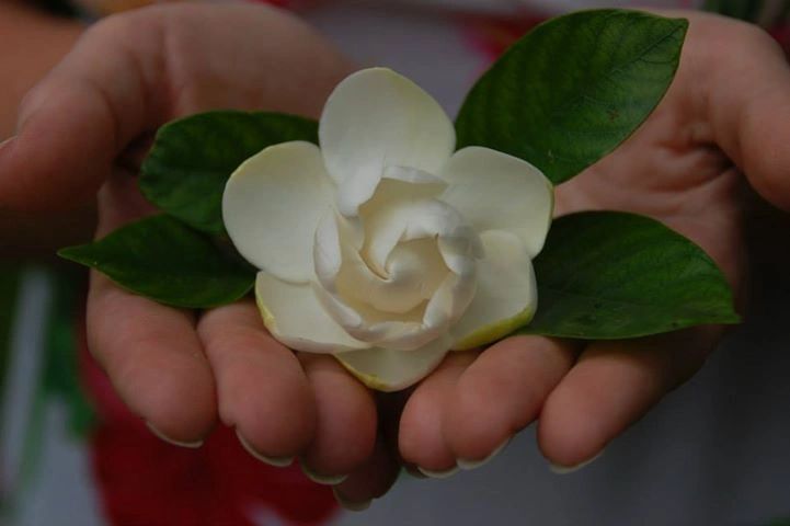 image281
