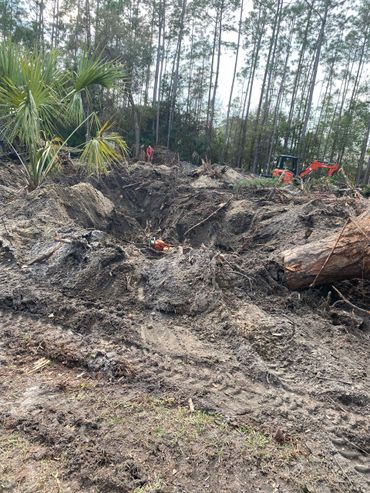 Land clearing
