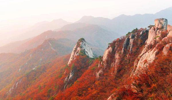 fall colours in Seoraksan National Park