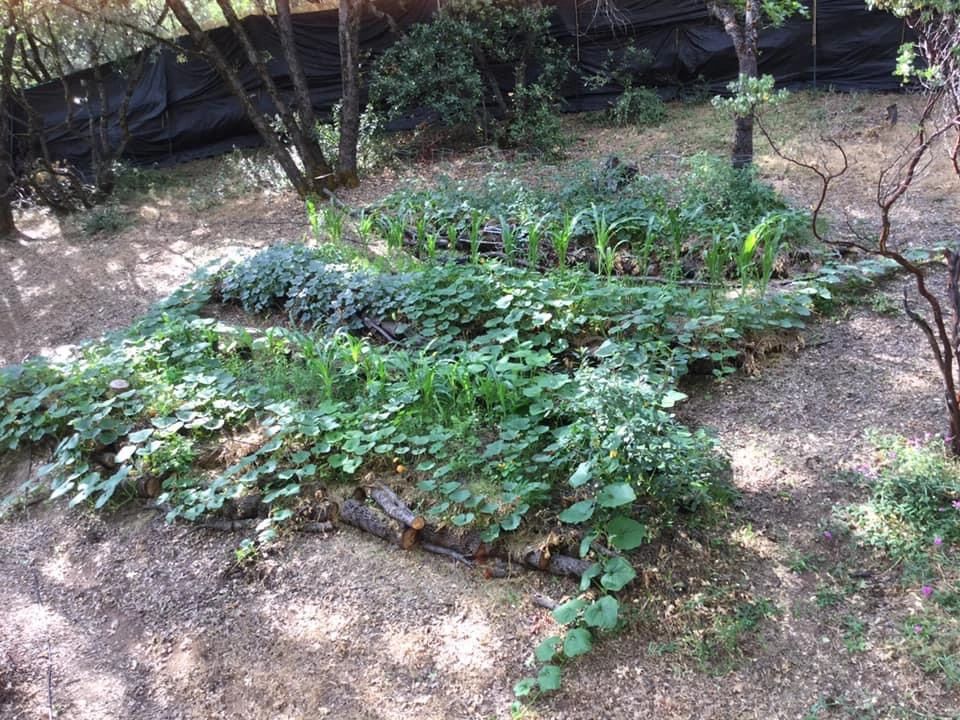 Success! 2 months later :)