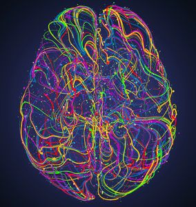 Biodynamic Craniosacral therapy, infant CST, birth trauma, Tongue tie, concussion, Corvallis, Oregon