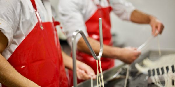 Sheep Casings Selection