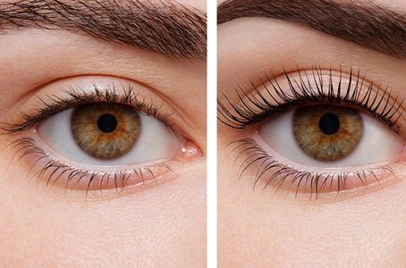 Lash & Tint in Bondi Junction