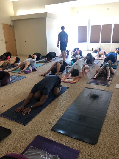 Expert yoga instructors