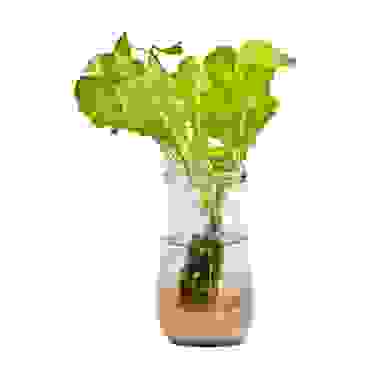 image1388