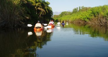 Experience a great paddle on stable and comfortable kayaks, along the Boca estuary, learning about t