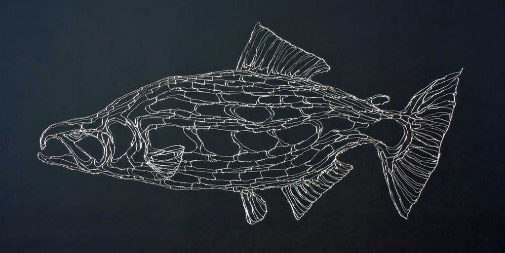 King Salmon, 48" wire wall art by Elizabeth Berrien. Commissioned by Eureka Natural Foods.