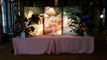 Lit Tabletop Panels St. Regis Event San Francisco CA