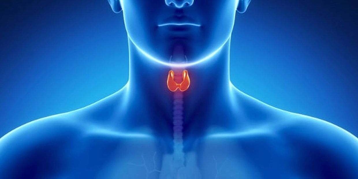 What is Hashimoto's thyroiditis