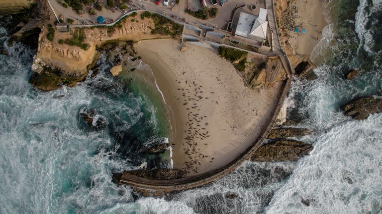 La Jolla Children's Cove Joseph F. Klatt Lawyer Attorney