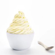 A bowl of creamy vanilla frozen yogurt with a spoon.