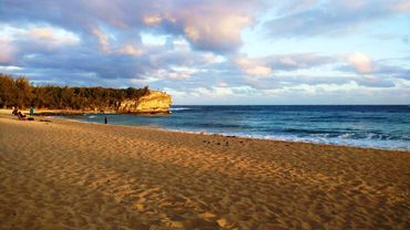 Nature survives because its Wisdom has no arrogance. Compassion, cooperation & love survive always