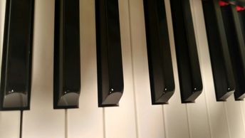 Hilton Head, Psychologist, Marriage, Family, Individual Counseling Life Coach Harmony Lynette Wiest