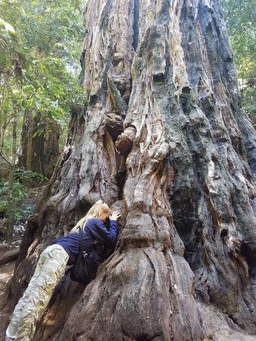 Nature brings Wisdom of World Peace & Global Cooperation. Migrate to Sustainable cooperation for all