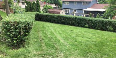 Bush Trimming Bettendorf Iowa
Bush Trimming Davenport Iowa
Gorilla Landscape Bush Trimming
Gorilla