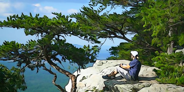 Man sitting on a rock overlooking nature.