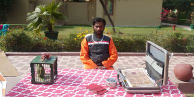 HIRE PARROT CARD READER IN GURGAON, NOIDA, DELHI & FARIDABAD