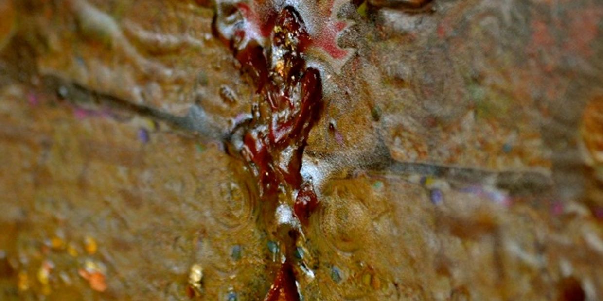 Encaustic medium with rose petals from the original artwork Leap of Faith by the contemporary energy artist Deprise Brescia.