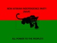 New Afrikan Independence Party (NAIP)