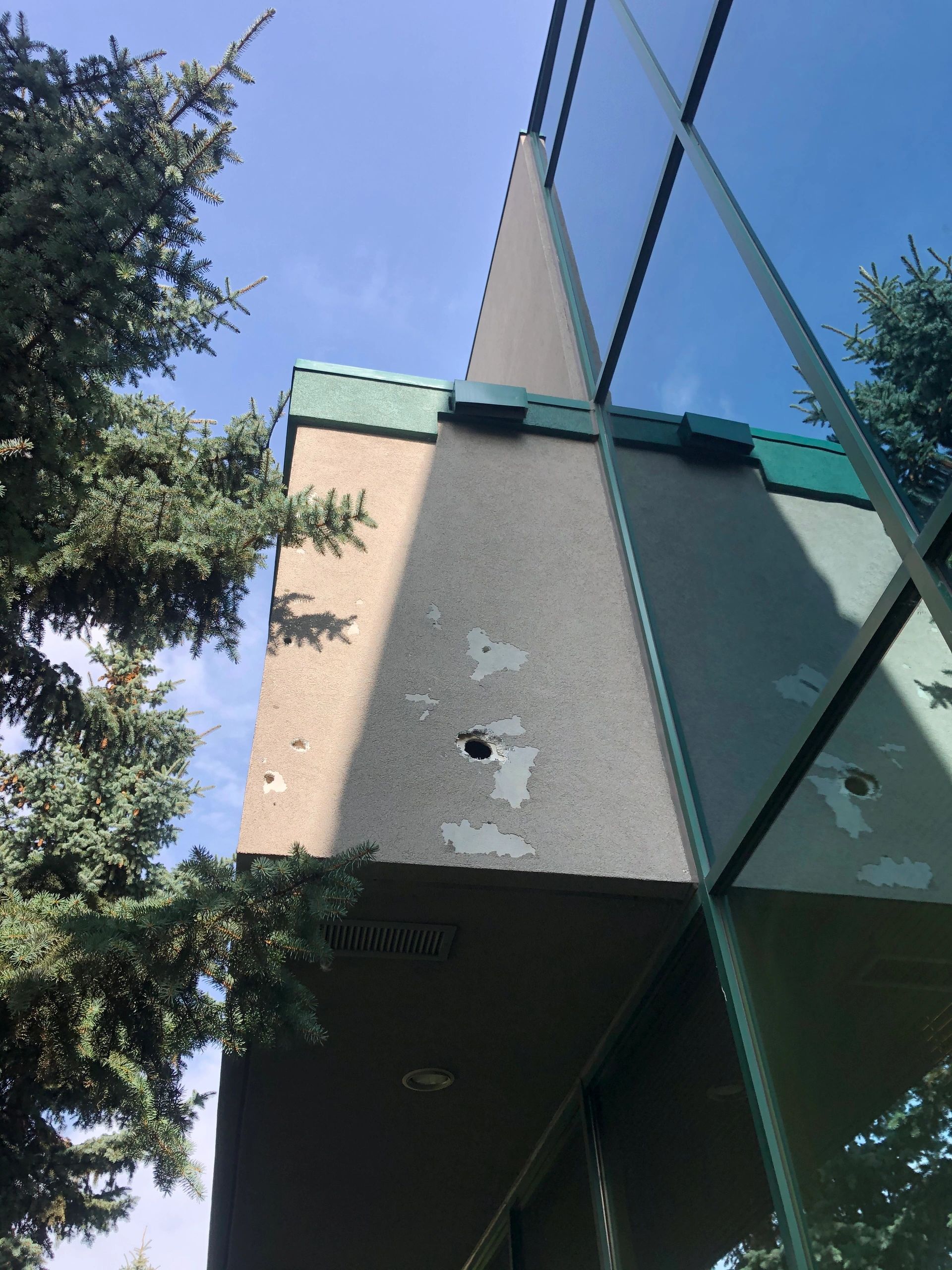 Wood pecker damage to EIFS stucco, Woodpecker stucco repairs, bird damage to stucco in Calgary.  