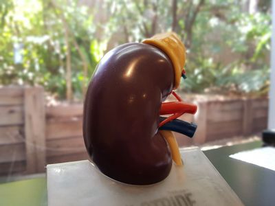 Dr Justin Lim Professor Yoland Lim  Acupuncture Melbourne Knox Skin Laser Acupuncture Weight Loss