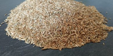 Premium Grass Seed blended for northern Illinois lawns to make greener thicker.