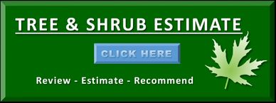 Tree and Shrub services like Tree care programs in Rockford, Belvidere, Freeport and N. Illinois