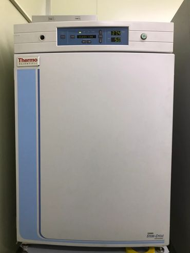 氣體自動切換系統
恆溫自動滅菌二氧化碳細胞培養箱