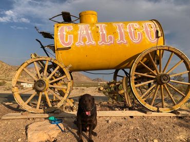 Titus was definitely ready to go.