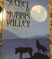 Book cover for the Secret in Morris Valley.