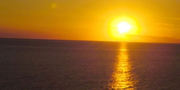 Sunset Hawaii surf soup tv Donna Kay lau Surf soup book series animation cartoon entertainment