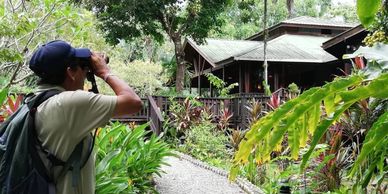 passionate birding guide looking through binoculars