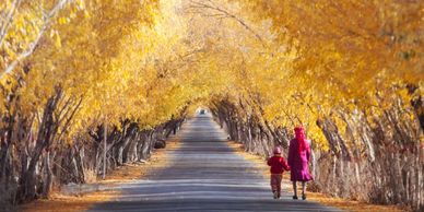 An Uyghur mother and child walking down a street lined with autumnal trees