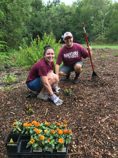 Two volunteers planting orange lantanas.