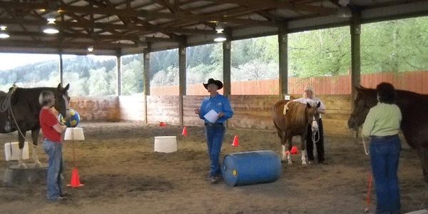 Workshop starting with Ground Skills