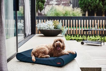 Snooza Ortho Lounger Bed