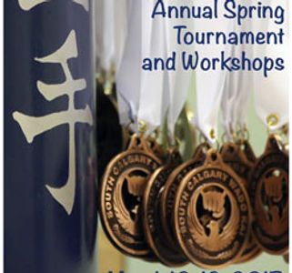 south calgary karate, karatesouthcalgary