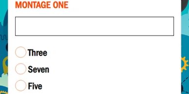 Sample answer screen for open text field answers and multiple choice questions