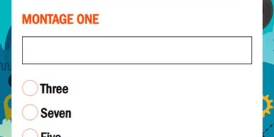 Sample answer screen for mixed open form field and multiple choice answers
