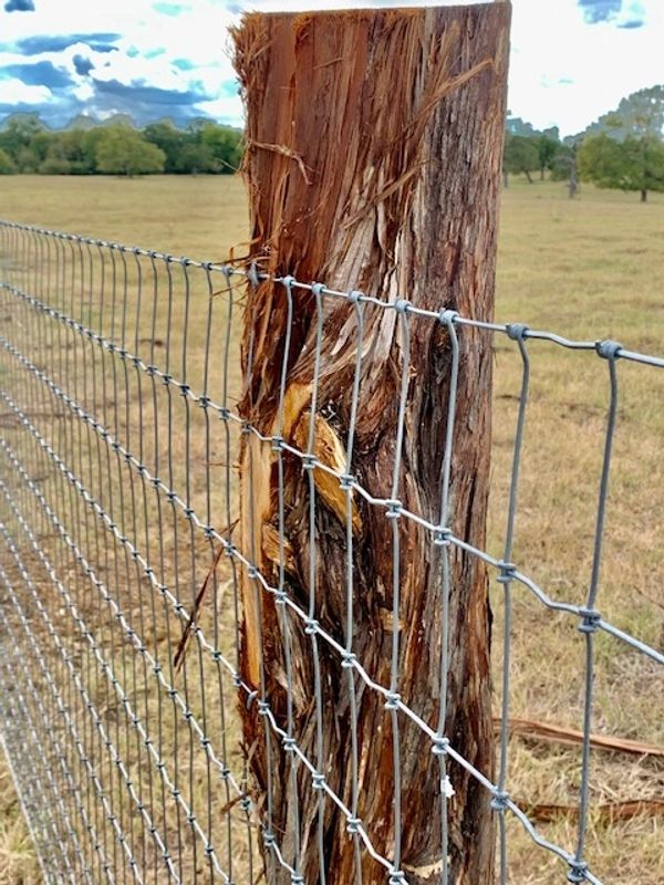 Cedar post ranch fencing