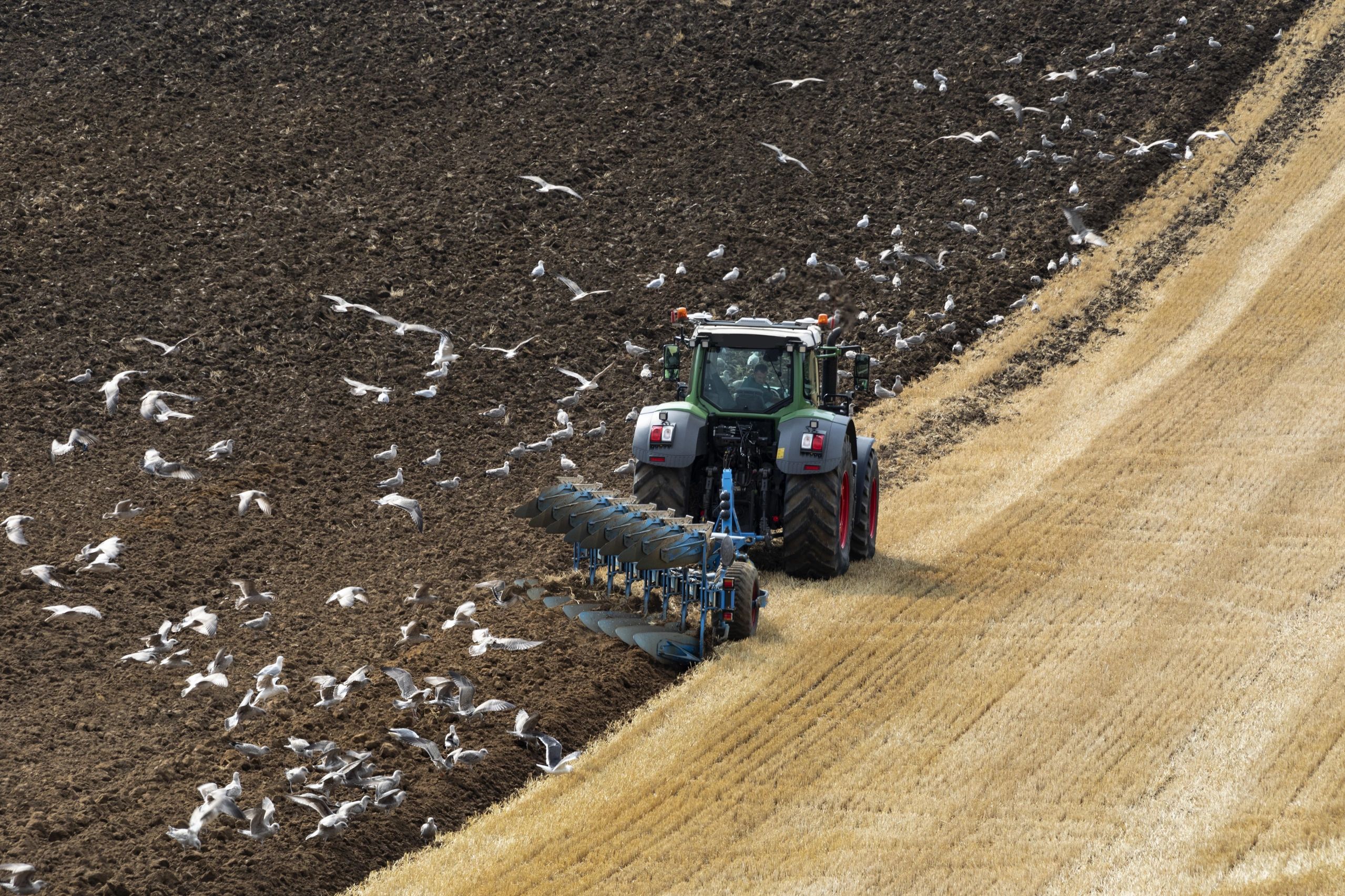 Tractor ploughing