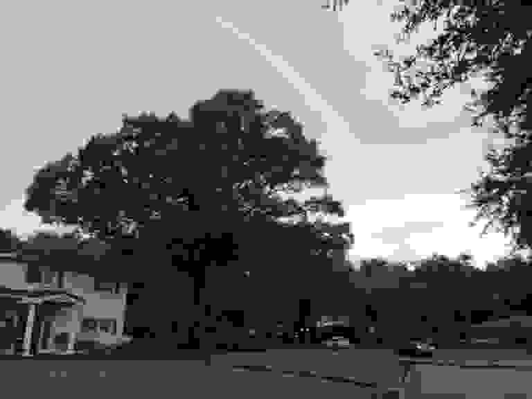 image281