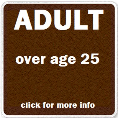 DPS Road Test 
Online Driver Education Class
Parent Taught Drivers Education
Authorized Third Party Testing Site