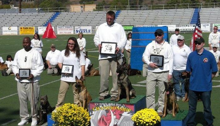Jeff Postle with Jill, DVG America 2010 IPO 1 National Championship, 1st Place