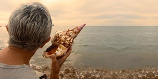 listening to sea shell